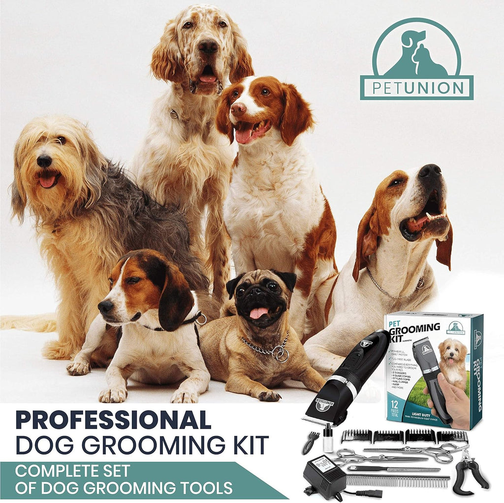 Pet UnionProfessional Dog Grooming Kit | PetNestUK