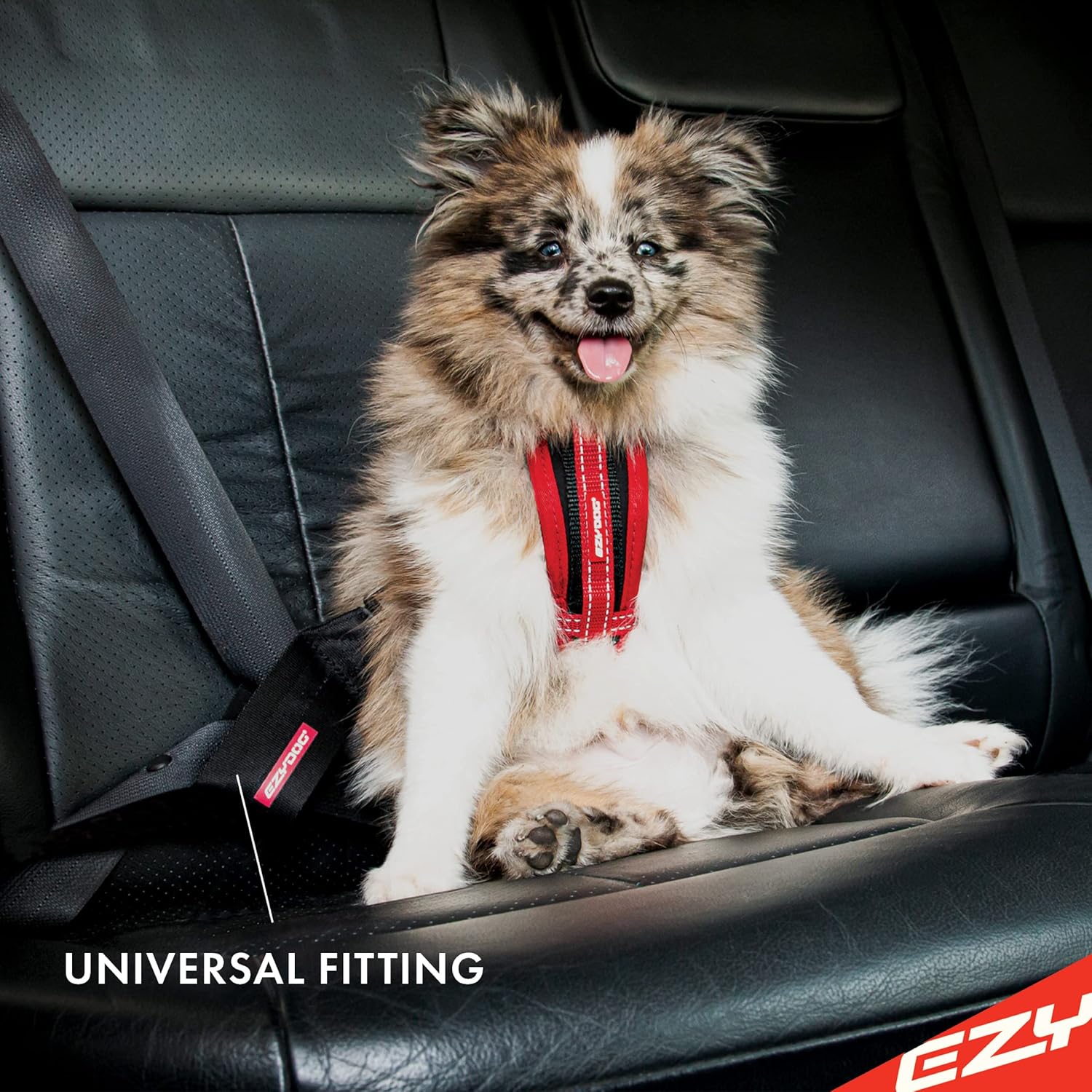 EZYDOG Dog Seat Belt Car Attachment | PetNestUK
