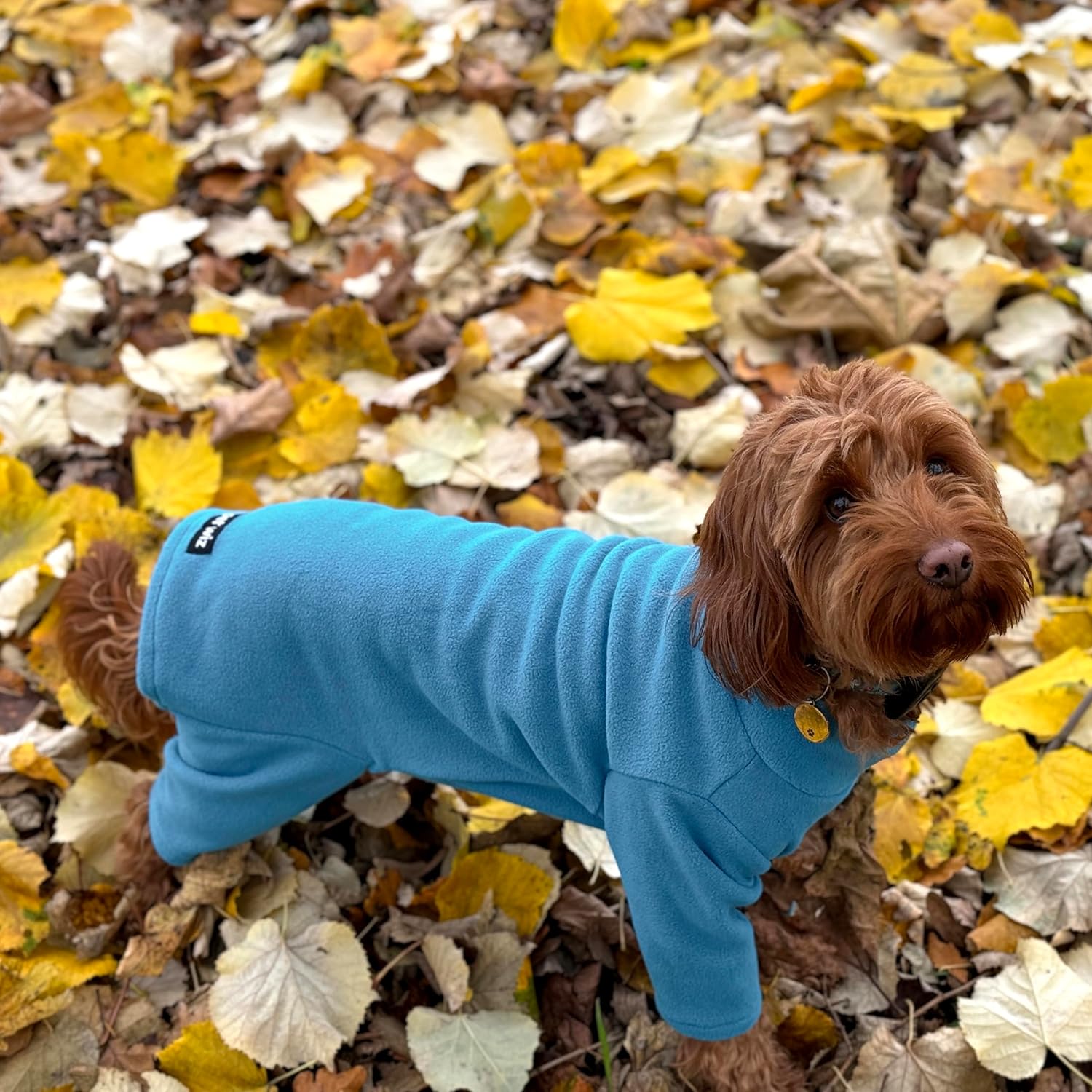 Warm Four-Legged Dog Fleece | PetNestUK