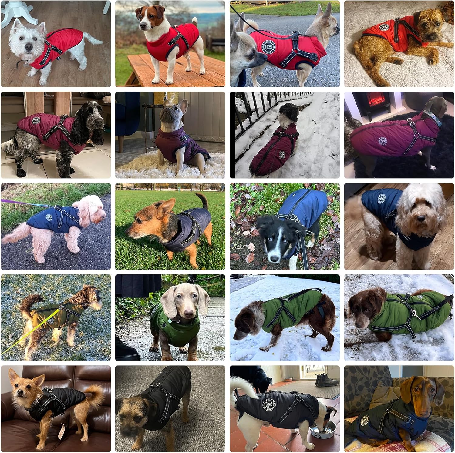 Poseca Dog Clothes for Small Dogs Dog Coat | PetNestUK