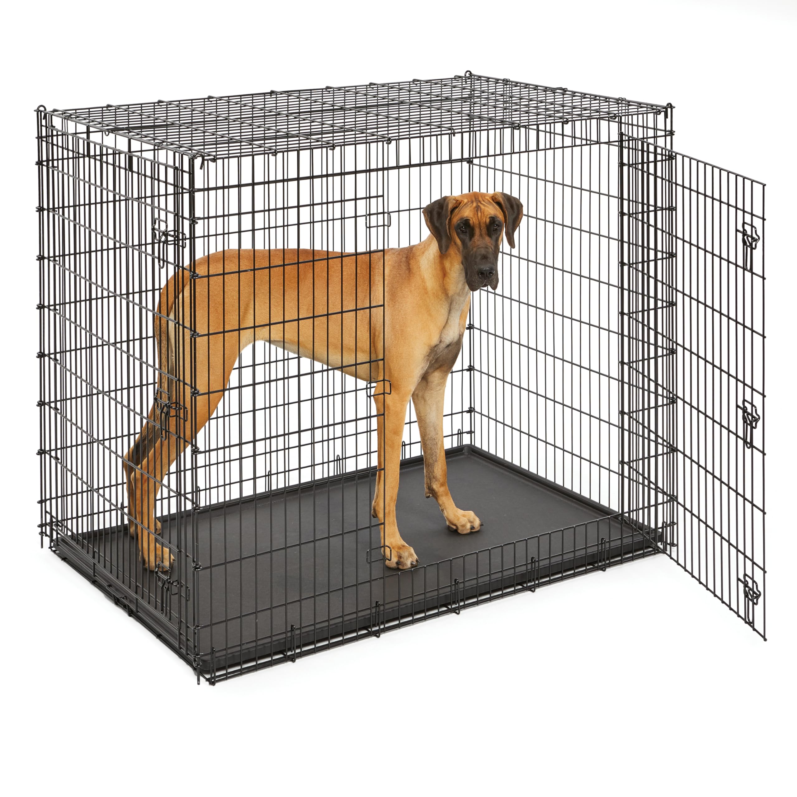 MidWest Homes Pets Newly Enhanced Door iCrate | PetNestUK